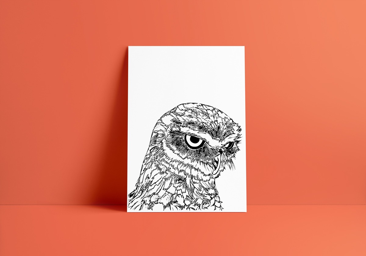 owl art print