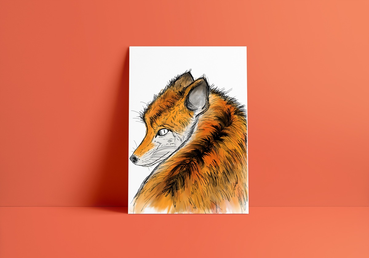 fox-colour